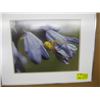 Image 1 : FRAMED PICTURE YELLOW SPIDER