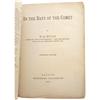 Image 2 : H. G. Wells: In the Days of the Comet