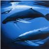 Image 2 : "A Sea of Life" Limited Edition Lithograph by Renowned Artist Wyland, Numbered a