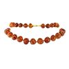 Image 1 : Twenty Nine Inch Baltic Honey Colored Amber Necklace