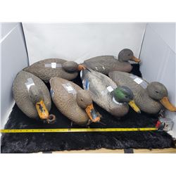Lot of 6 mallard duck decoys made in Italy