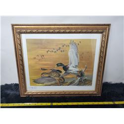 Framed print of flying duck from Remington Arms Co. collection