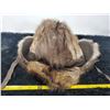 Image 2 : Muskrat fur hat, size medium, made in Winnipeg