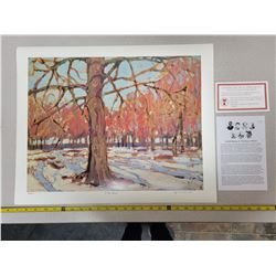"First Snow" by Tom Thompson - group of seven member