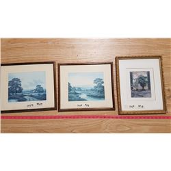 Lot 3 Framed Prints