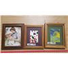 Image 1 : Lot 3 Framed Wallhangings