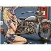 Image 4 : Harley Davidson embossed 15" X 13" sign Reproduction