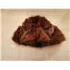 Image 2 : 427.  Muskrat hat, Western Furs Manufacturing