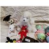 Image 4 : 12 Beanie babies with tags