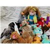 Image 4 : 20 beanie babies with tags