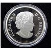 Image 3 : Canadian $20 Silver Coin 2015 Baby Black Bear