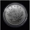 Image 2 : Canadian 2014 Silver Maple Leaf