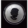 Image 3 : Canadian 2014 Silver Maple Leaf