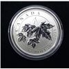 Image 2 : Canadian 2015 Maple Leaf