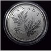 Image 2 : Canadian 2014 Maple Leaf