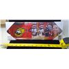 Image 1 : Ottawa Senators Canada Post issued Team Jersey Wall Plaque