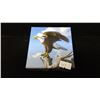 Image 3 : Canadian 2014 $100 Bald Eagle