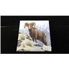 Image 3 : Canadian 2014 $100 Bighorn Sheep