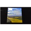 Image 4 : Canadian 2016 $200 Vast Prairies