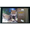 Image 1 : Canadian 2012 Special Edition Specimen Set Wolf Cubs