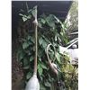 Image 2 : Qty 2 High-End Bronze Crane Statues 13.5'' x 13.5 '' x 73'' & 13.5 '' x 13.5'' x 52''