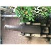 Image 2 : Cannon Reportedly from War of Independence (1775-1783)