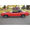 Image 1 : RESERVE LIFTED AND SELLING! 1970 COUGAR ELIMINATOR TRIBUTE CONVERTIBLE