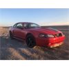 Image 2 : 2003 FORD MUSTANG MACH 1