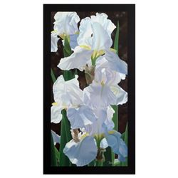 Brian Davis, "Enchanting Irises" Limited Edition Giclee on Canvas (18" x 36"), N