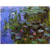Image 1 : Claude Monet - Gardens