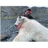 Image 2 : Mountain Goat Hunt in British Columbia