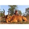 Image 1 : Zambia Safari for Two Hunters, includes 2 Puku, 2 Warthogs, 2 Impala
