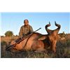Image 2 : Zambia Safari for Two Hunters, includes 2 Puku, 2 Warthogs, 2 Impala