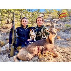 Pyrenean Couples Adventure-Chamois Hunt-includes trophy fee and Wine Tasting