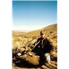 Image 2 : Utah Mule Deer Hunt with H & S Guide Service