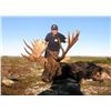 Image 1 : Moose and Bear Hunt