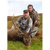 Image 2 : Scotland Red Stag Hunt