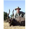 Image 1 : Two Nyala Adventure for Two Hunters
