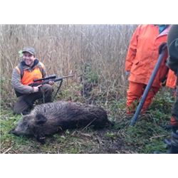 Wild Boar Hunting in Poland