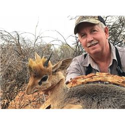 Damara Dik Dik and Eland Safari