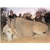 Image 3 : Damara Dik Dik and Eland Safari