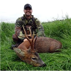 Spring Roe Deer Hunt Scotland