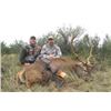 Image 1 : Red Stag, Blackbuck and Wild Boar in Argentina