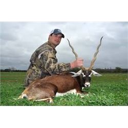 Texas Blackbuck Hunt