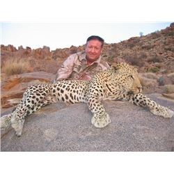 Trophy Leopard Hunt in Namibia