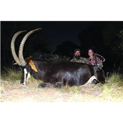 Trophy Sable, Limpopo Bushbuck and Bushpig Bowhunt