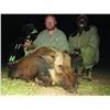 Image 2 : Trophy Sable, Limpopo Bushbuck and Bushpig Bowhunt