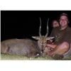 Image 3 : Trophy Sable, Limpopo Bushbuck and Bushpig Bowhunt