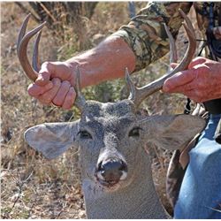 Arizona Coues Deer Hunt for Two Hunters
