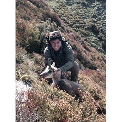 3-day hunting trip for 1 hunter for Cantabrian Chamois in Northern Spain